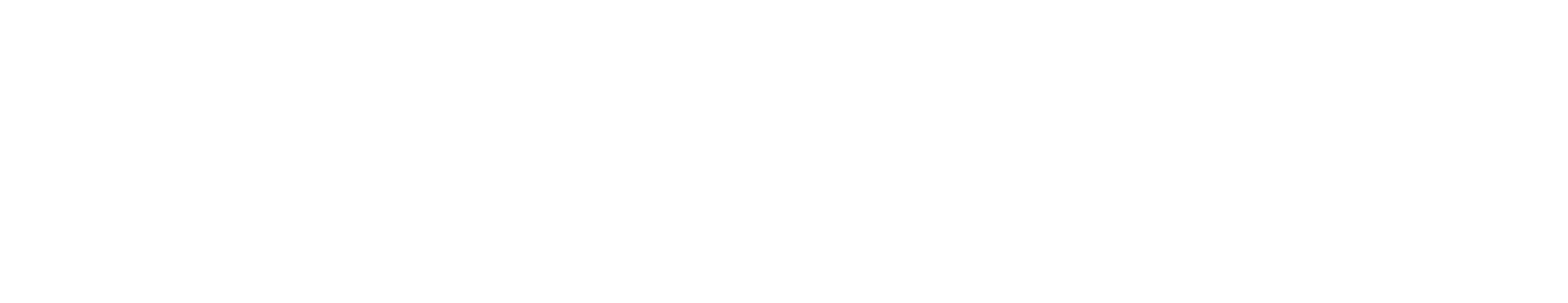 EpisB_logo_01_line_White